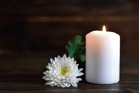 白菊と蝋燭のイメージ