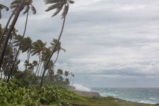 ハワイのハリケーンのイメージ