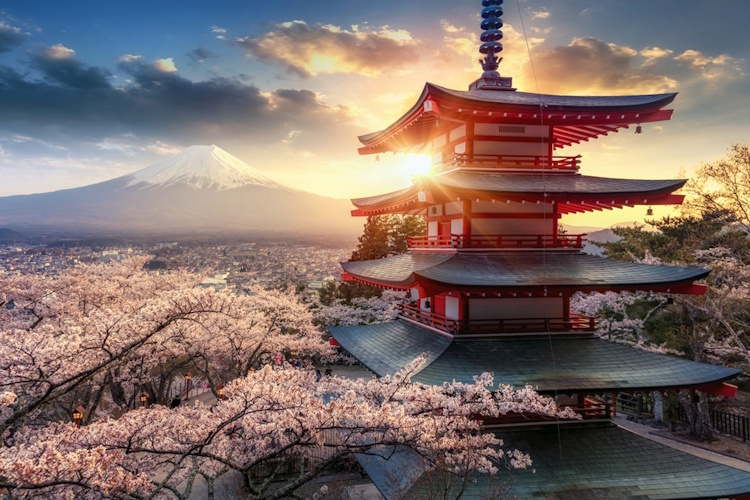 金利上昇で注目！ 主に日本国債が投資対象のETF