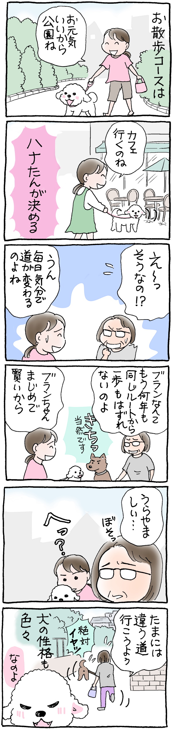 お散歩コース