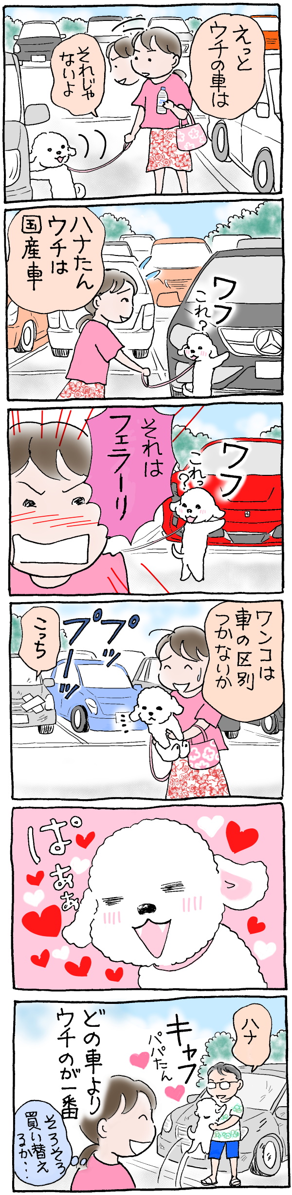 車の区別