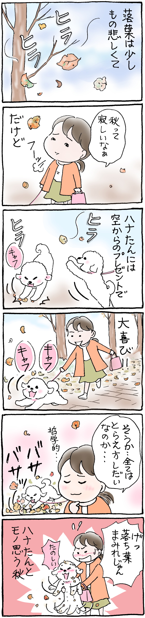 ハナちゃんと落ち葉