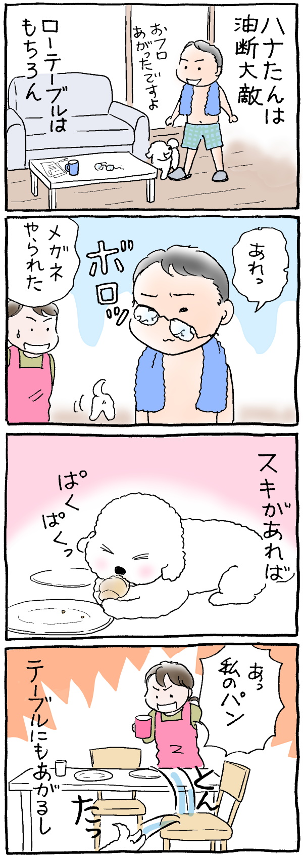 ハナちゃん大掃除1