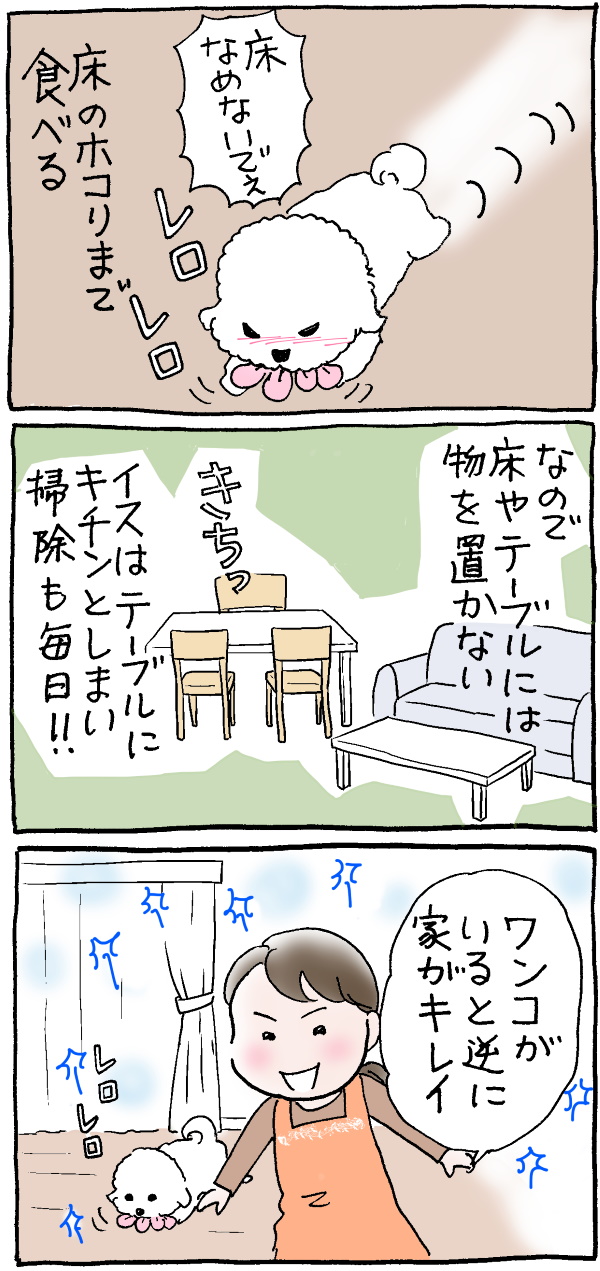 ハナちゃん大掃除2