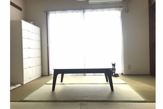 あかりさんのコタツ