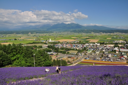 北海道富良野の景色